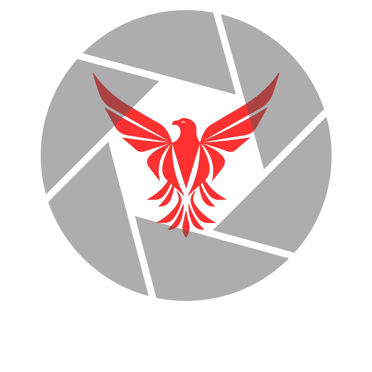 Rico Falcon Photo