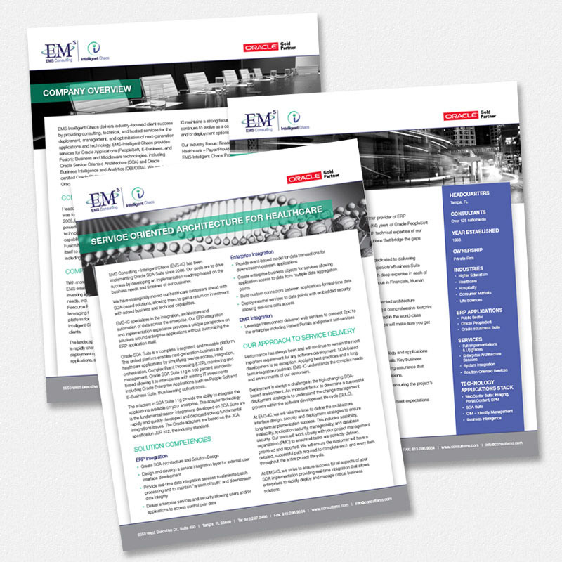 Case Studies | EMS Consulting