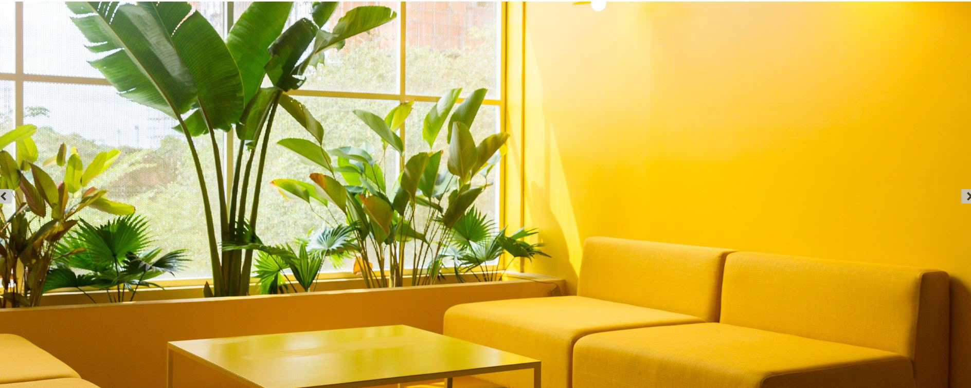 photocredit: Miguel Jeronimo