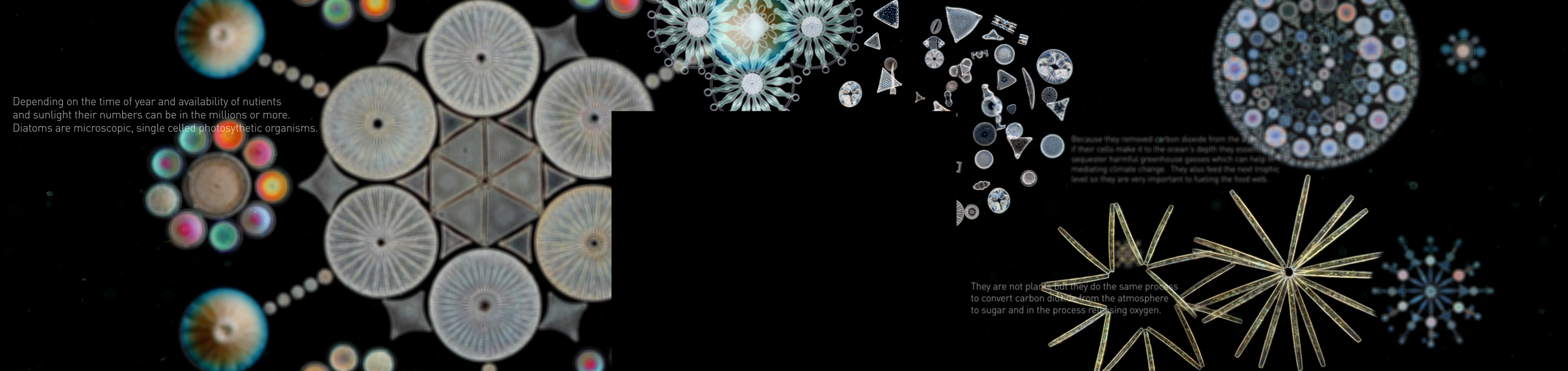 Design, animation and content development for LED video wall