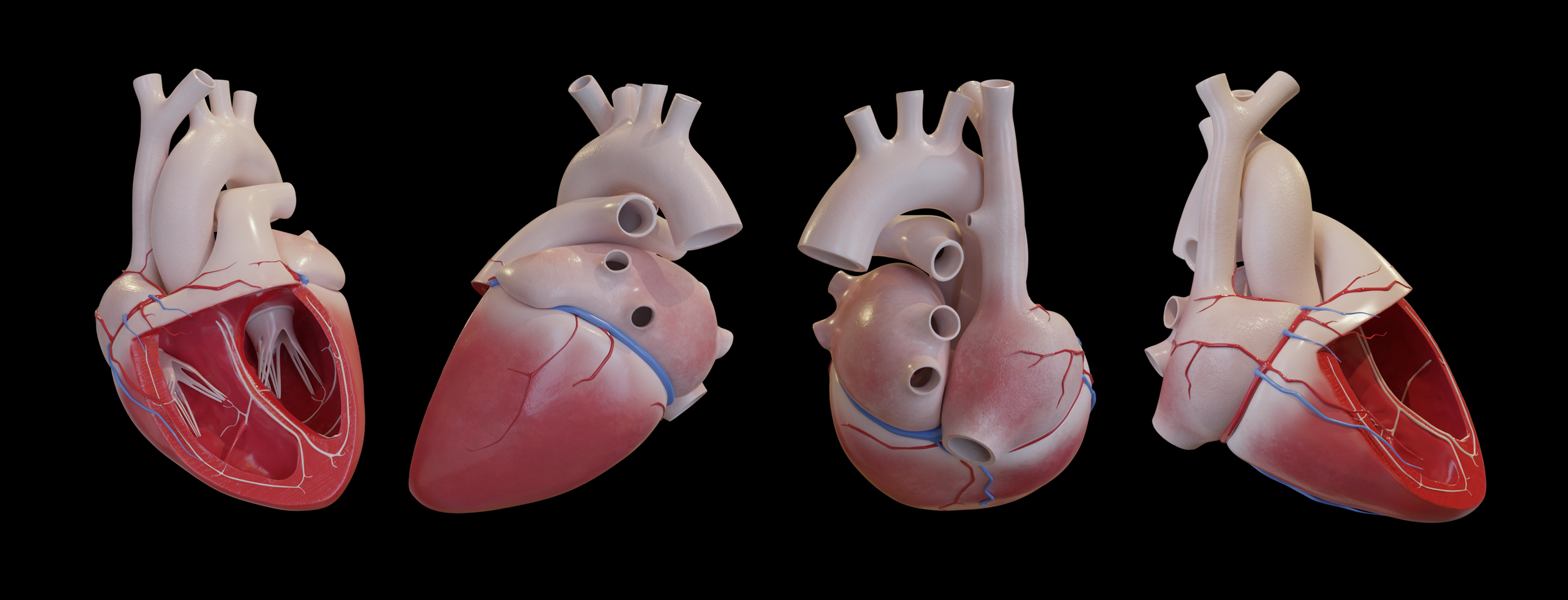 3D RENDERINGS