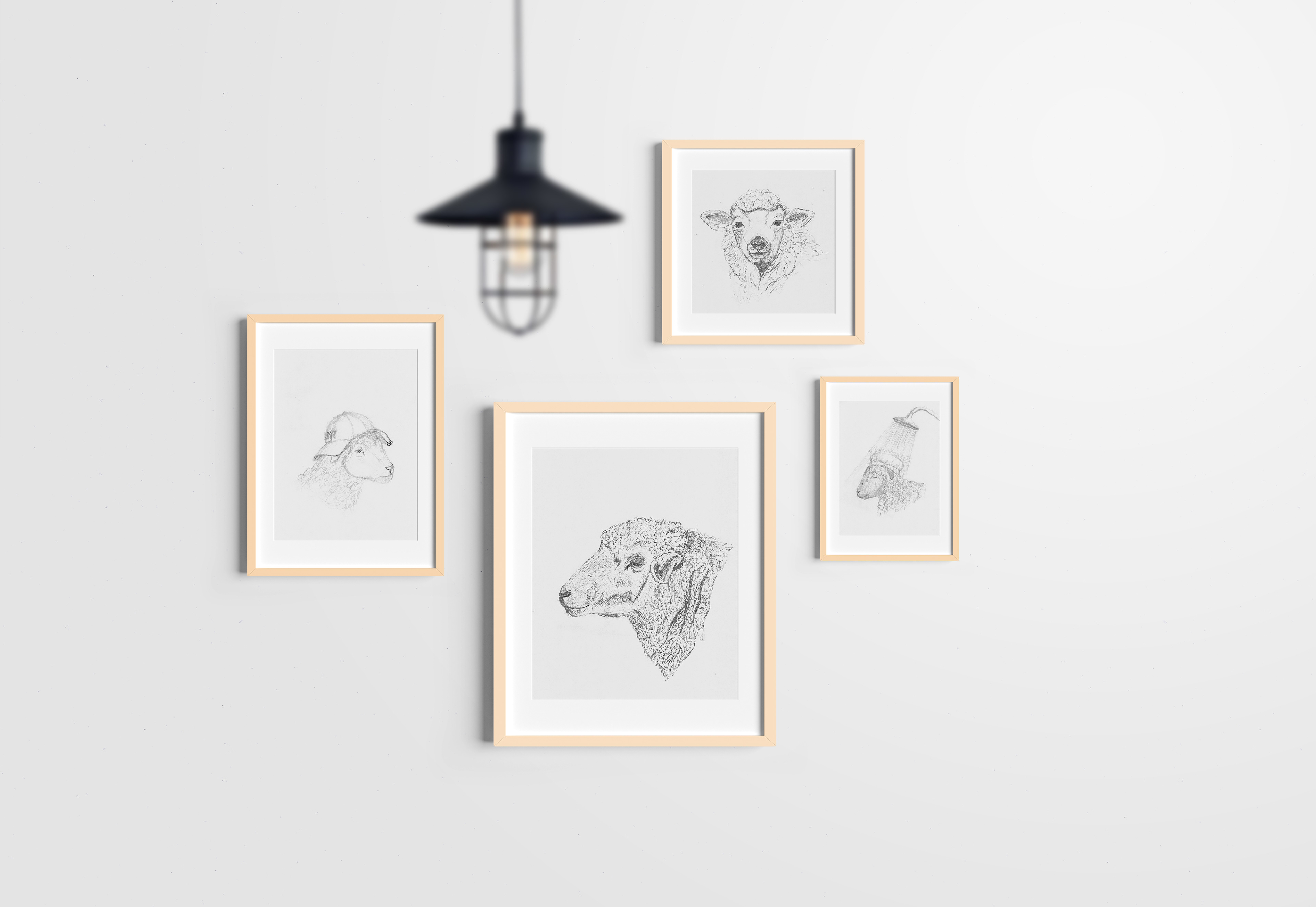 sheep drawings (graphite)