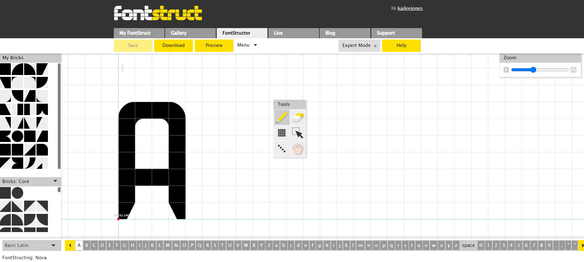 screenshot of software