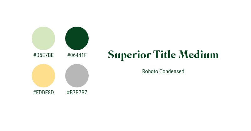 color theme & typefaces