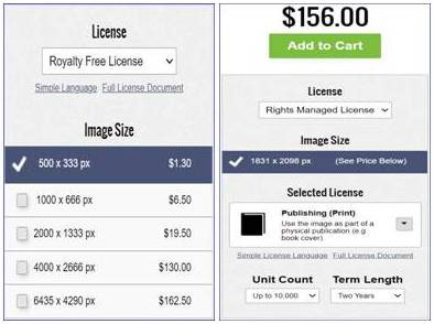 Digital Download Licenses
