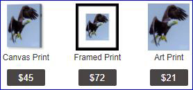 See Fine Art America for my printed/framed artwork, groups & contests