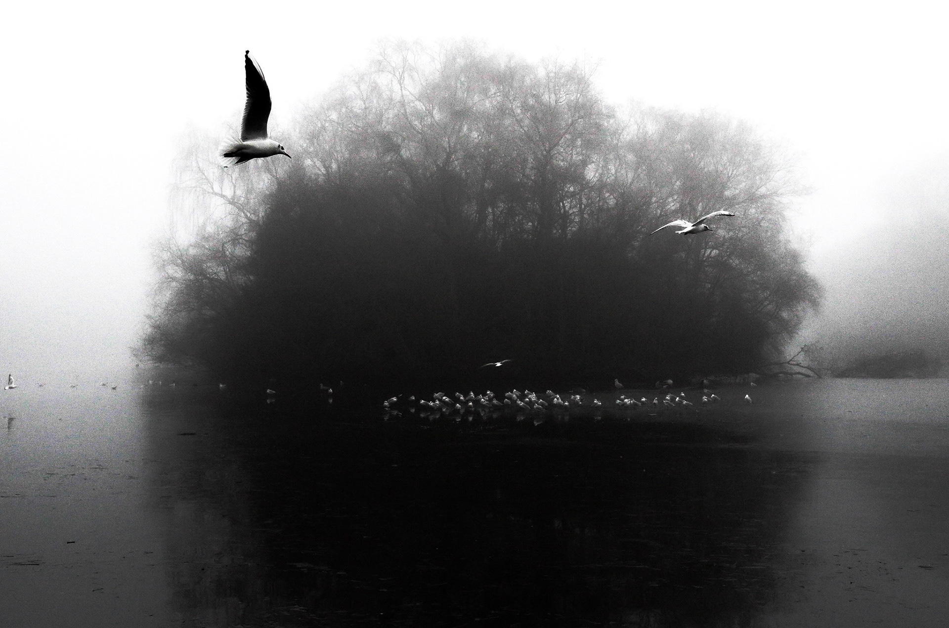 Saturday In Lockdown