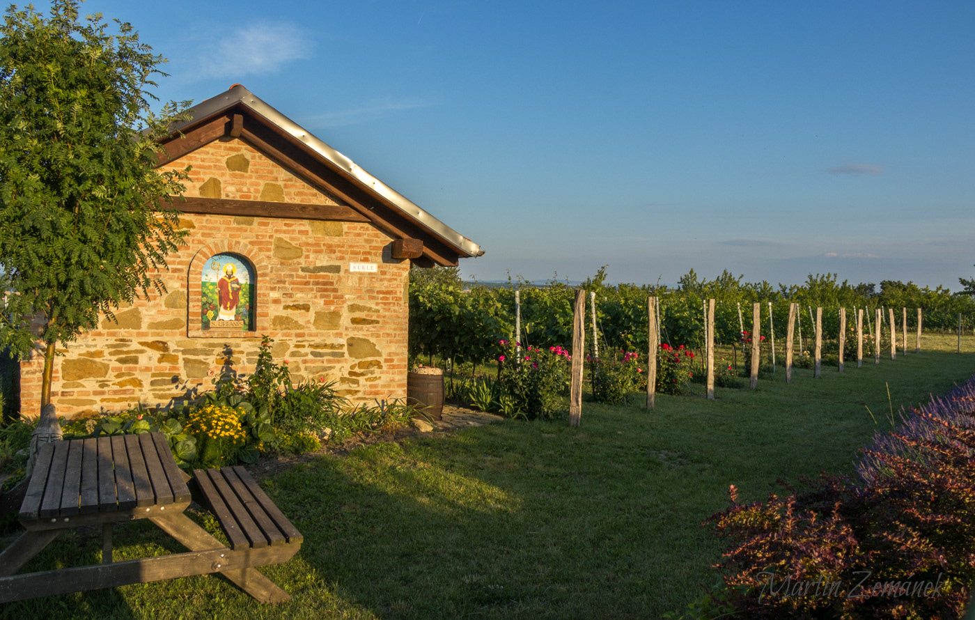Moravské Toskánsko - kaplička s vinicí