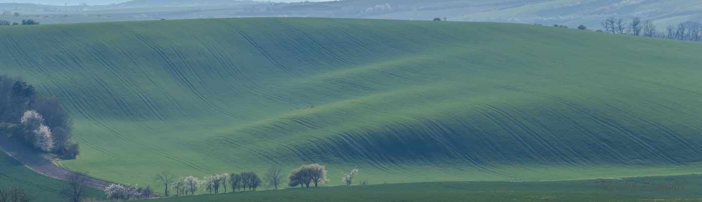 Moravské Toskánsko - vlnky