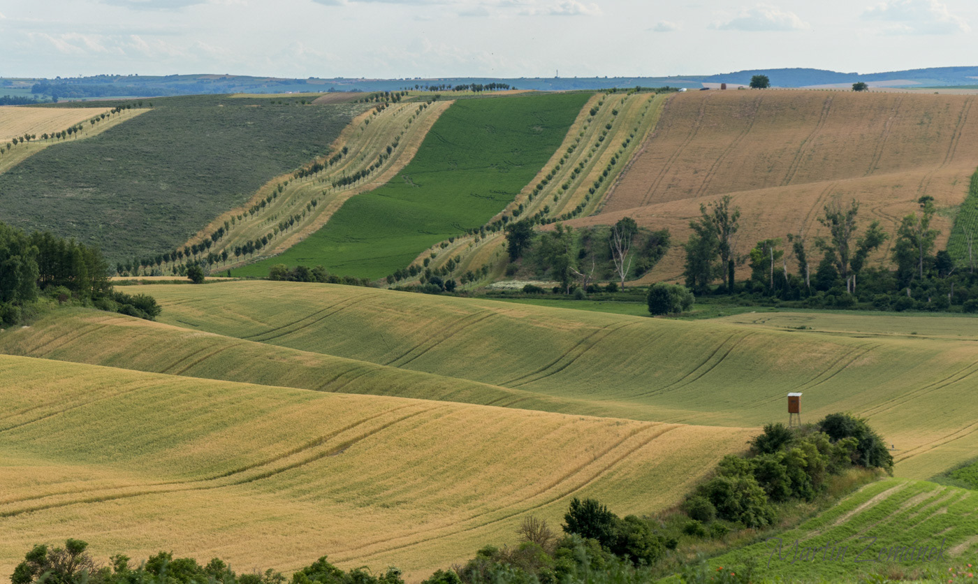 Moravské Toskánsko - vlnky