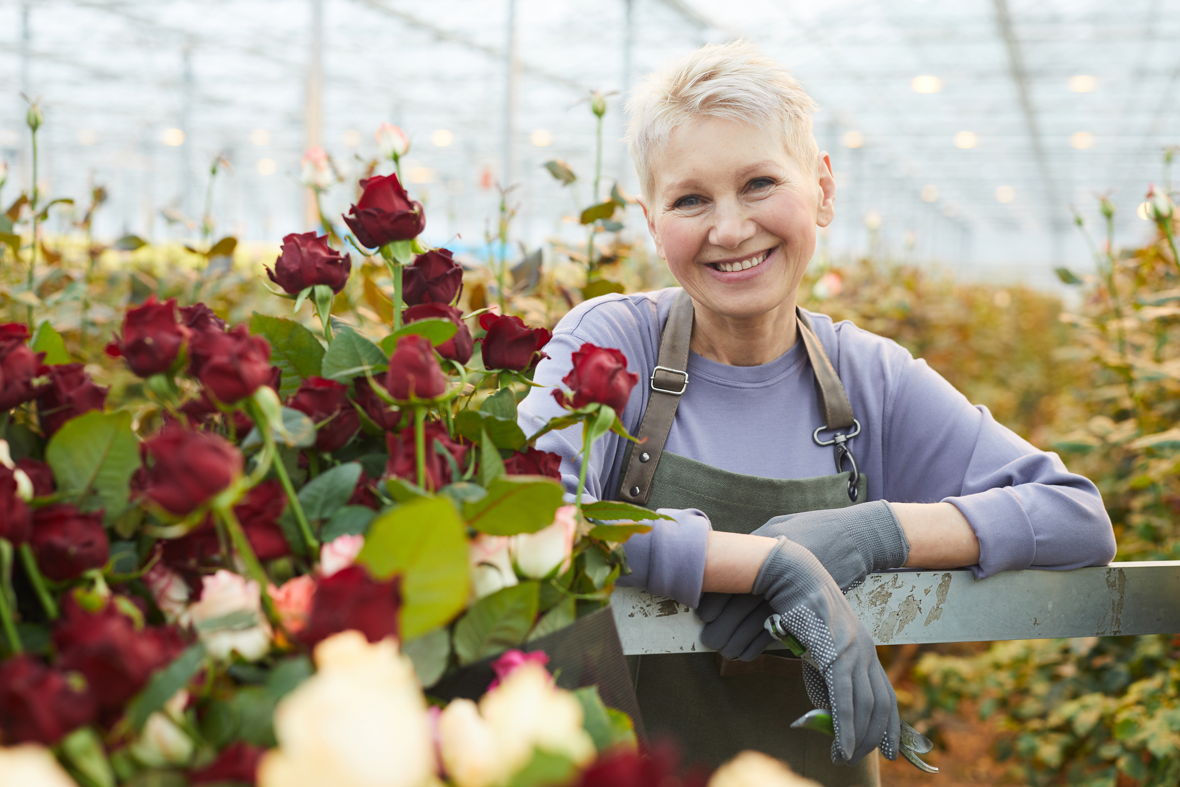 older lady with roses
