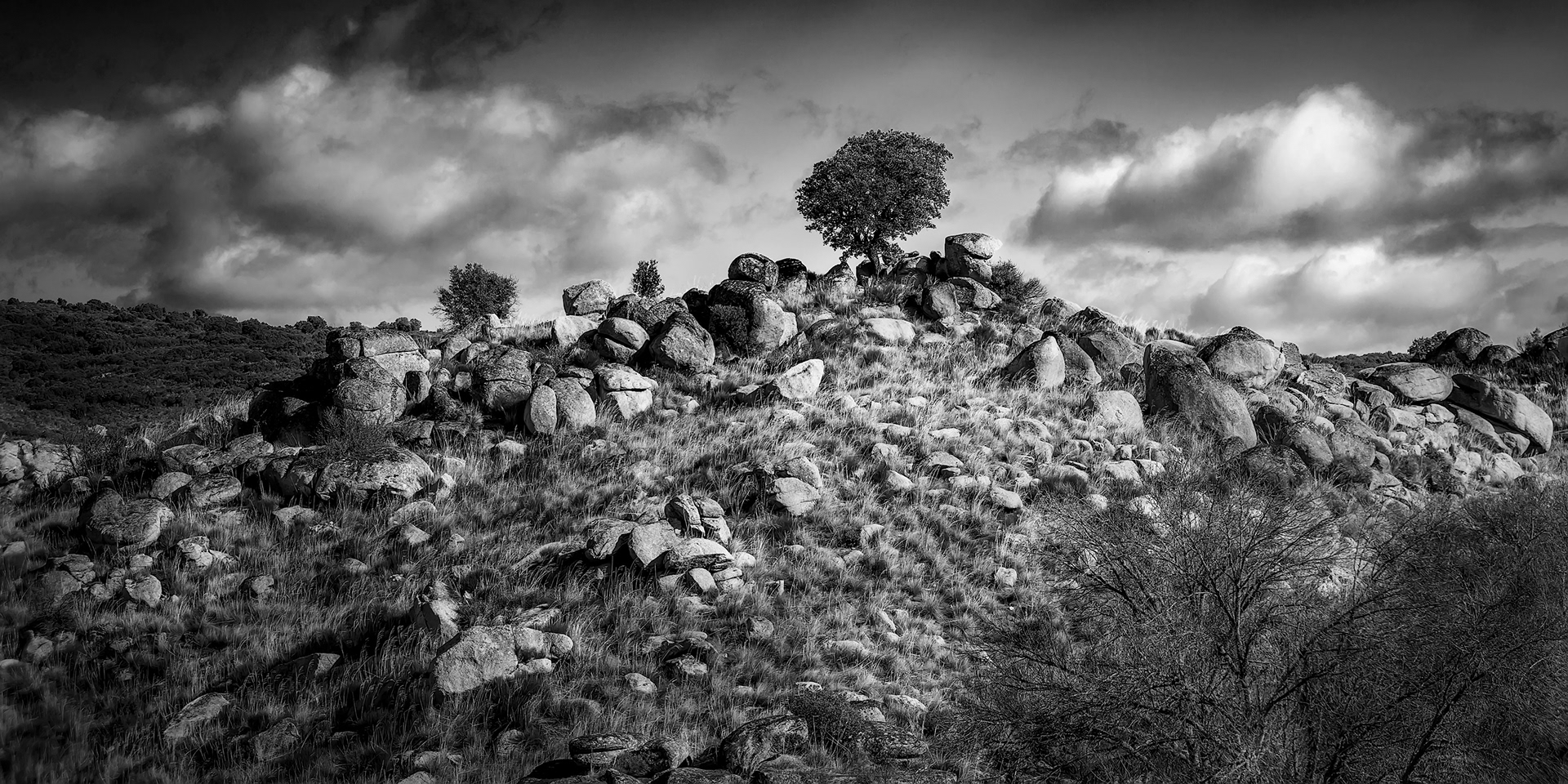 Tierras del Duero en blanco y negro
