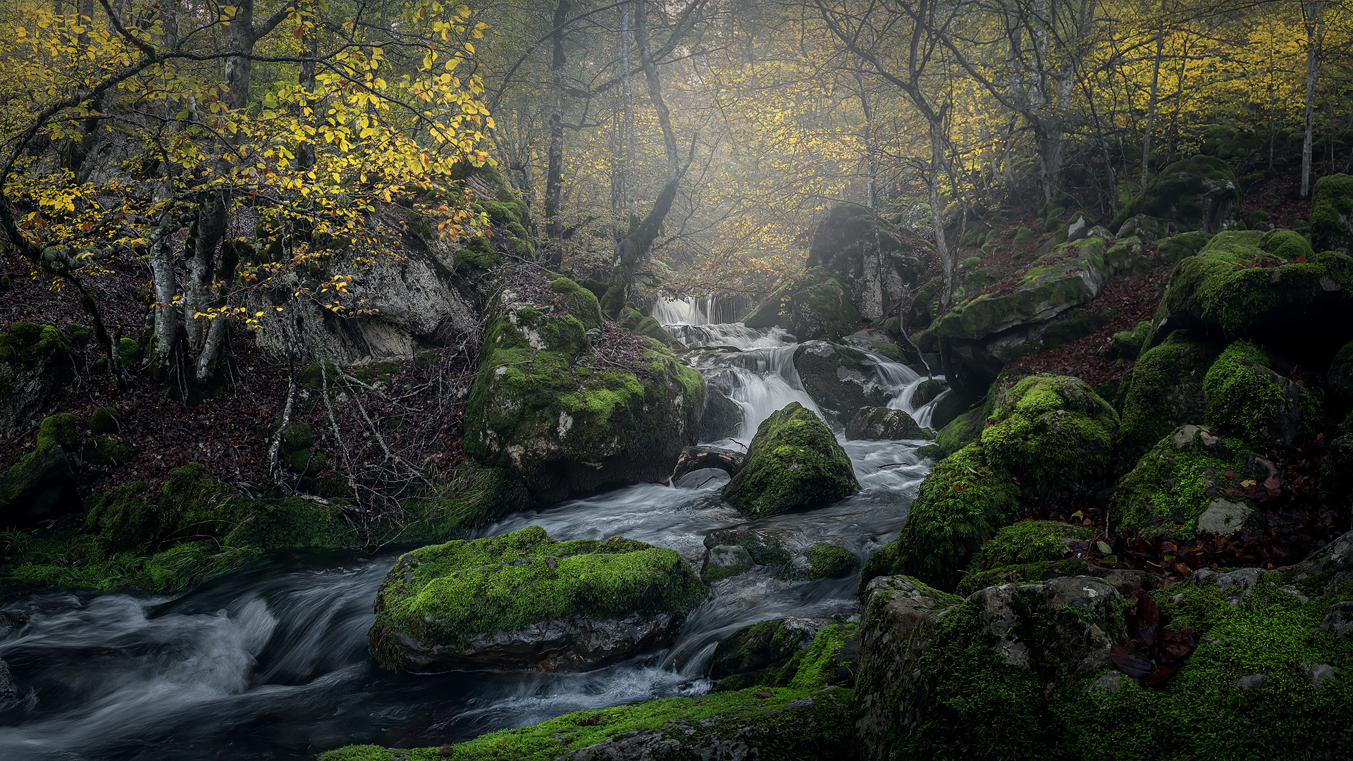 Argovejo, una vez más