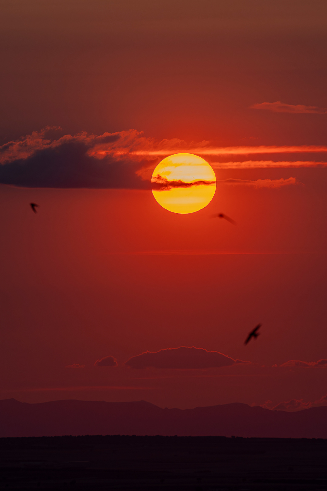 Sol rojo de la estepa castellana