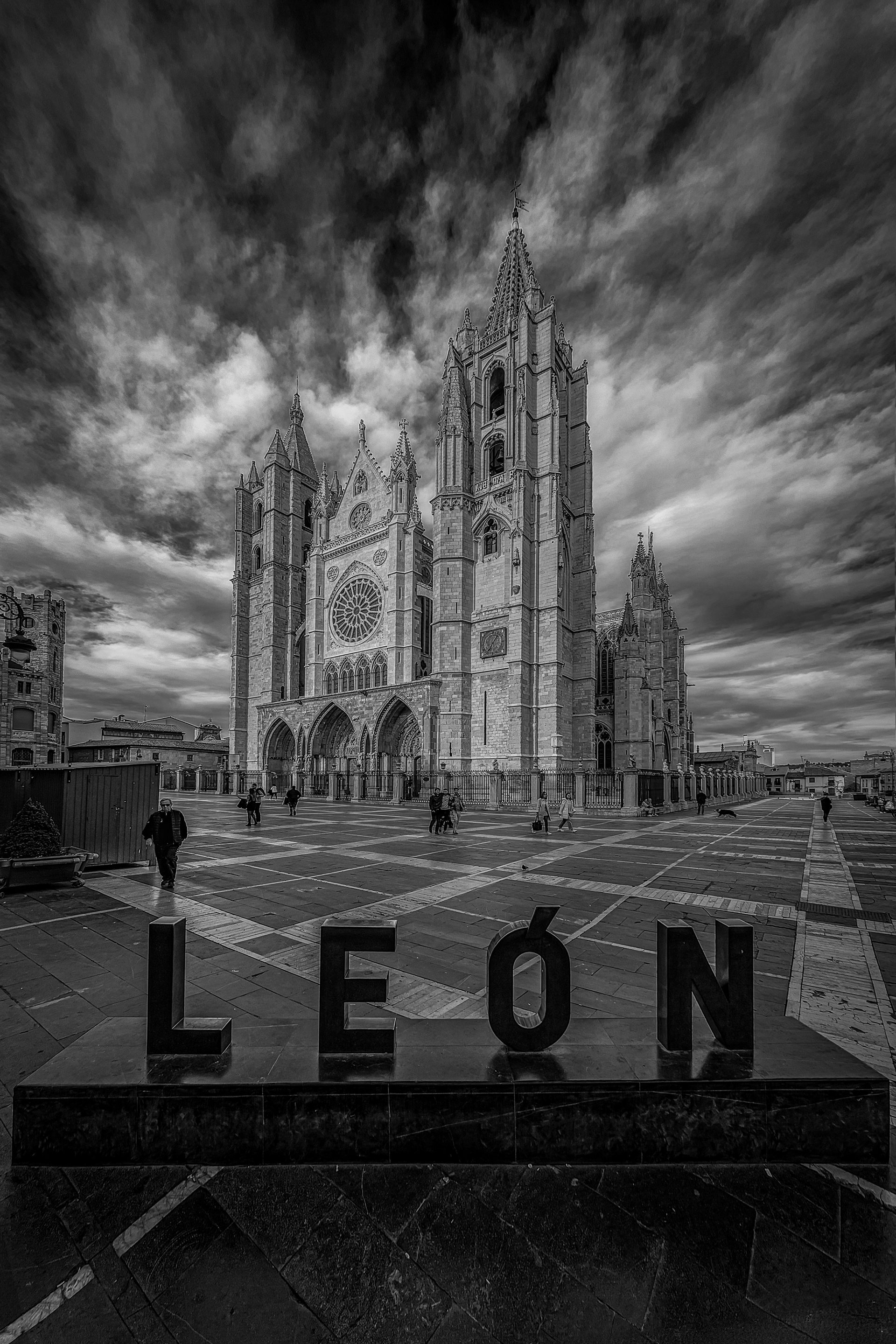 León en Blanco y negro