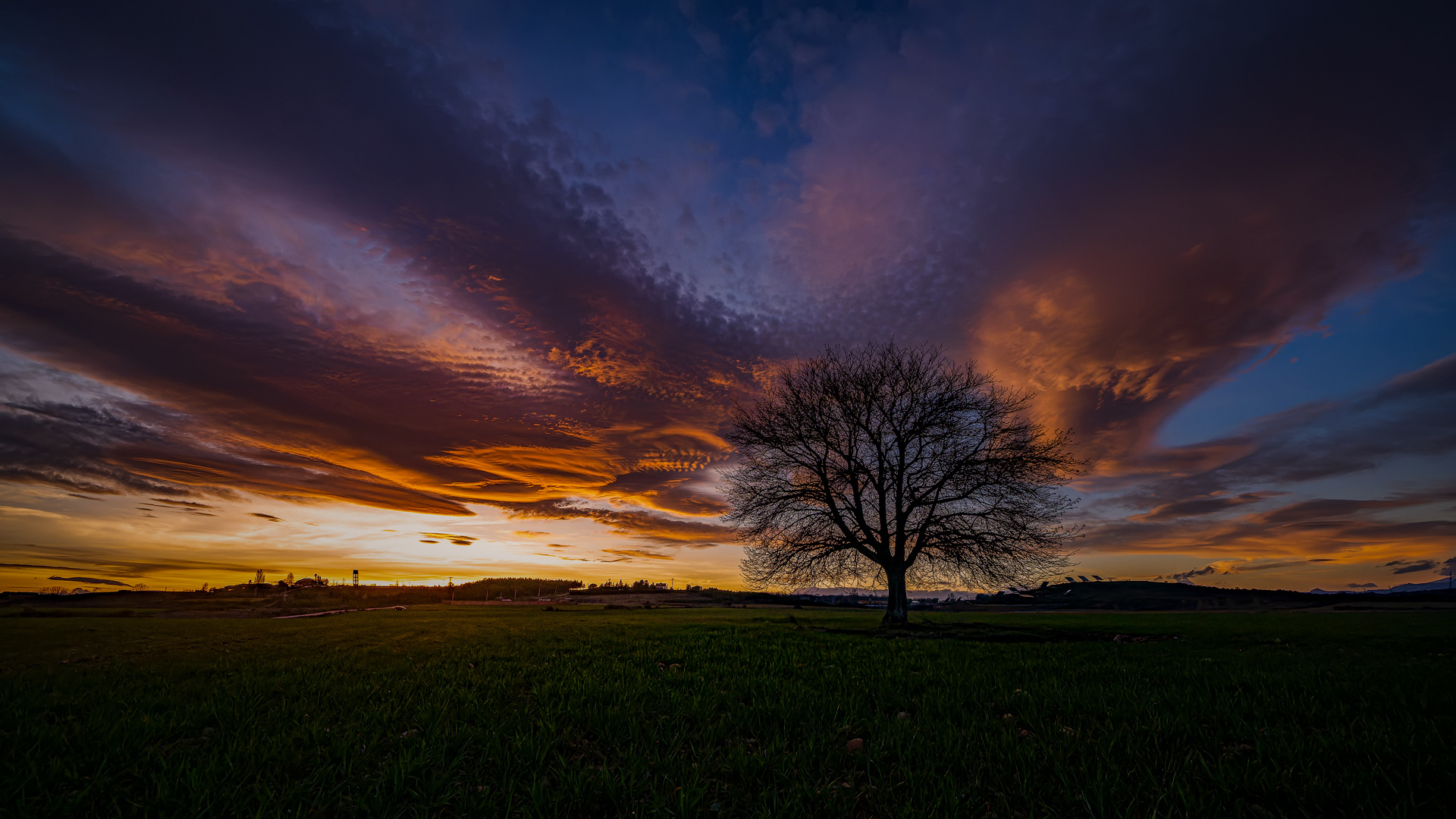 El acerolo de Golpejar