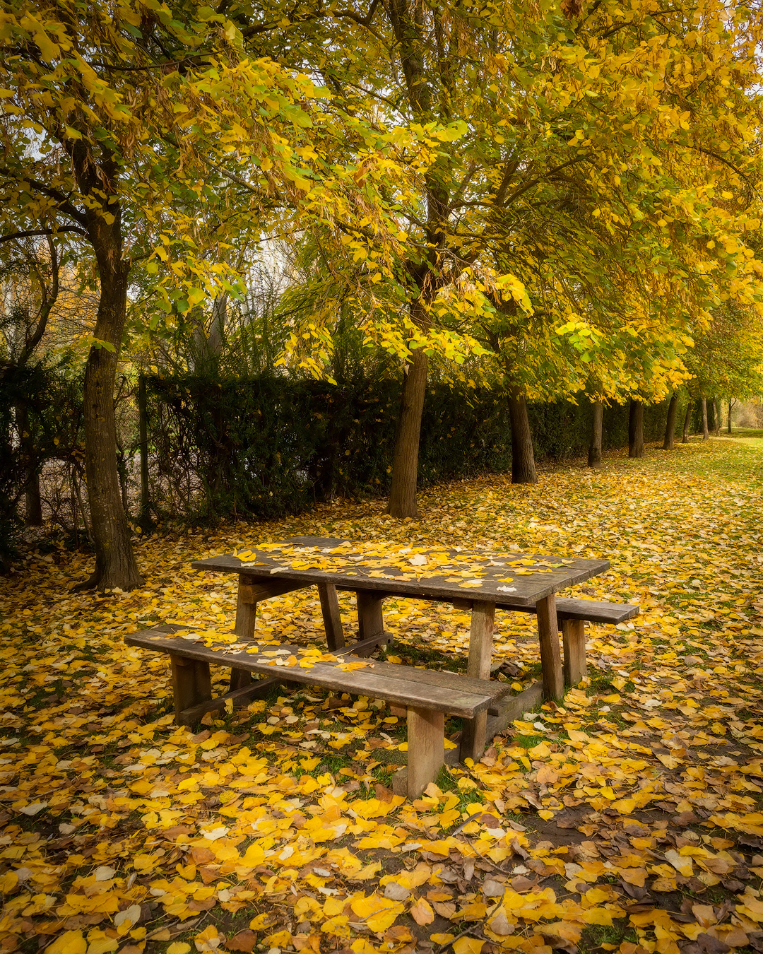 Otoño en la Candamia