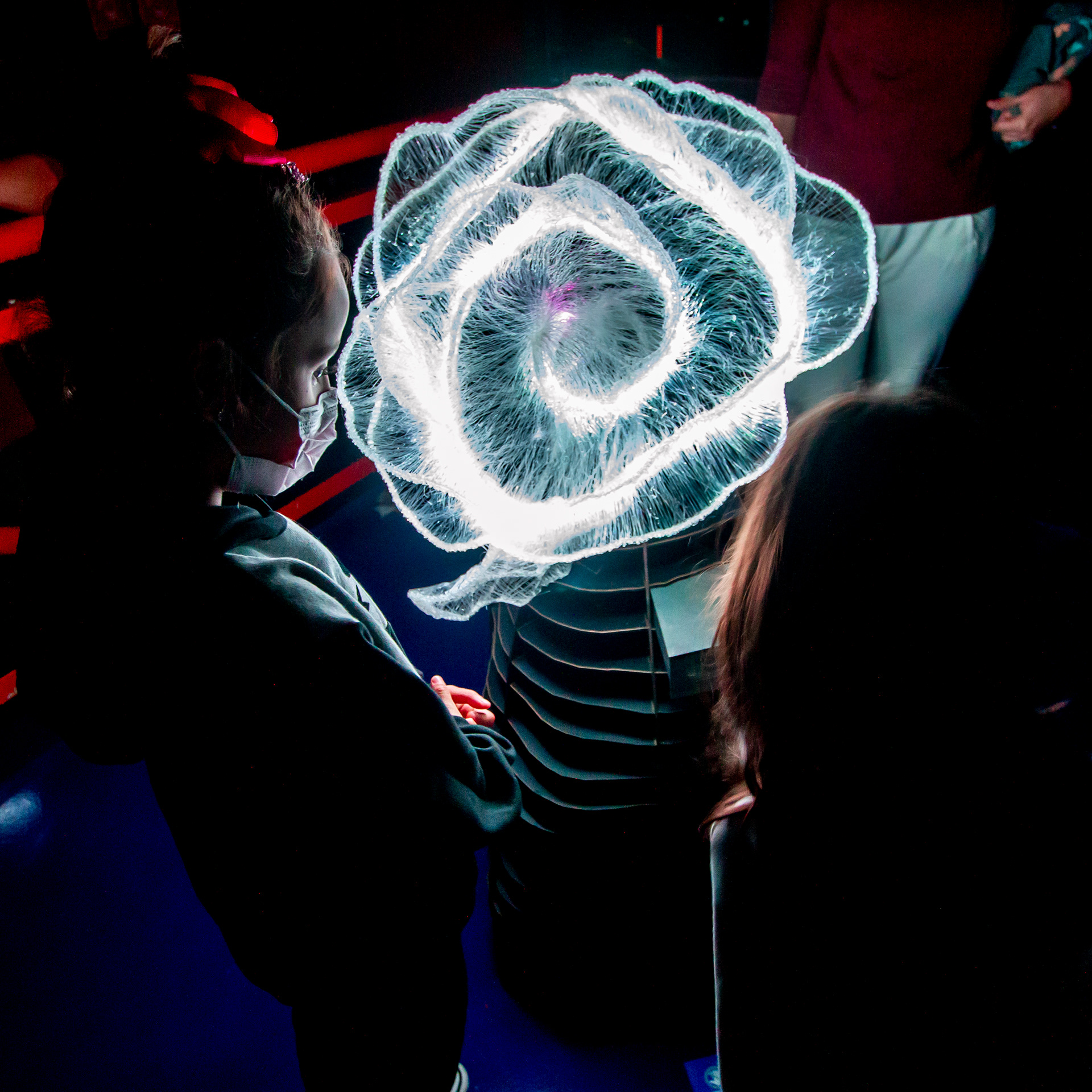 Foto: Rogério Albuquerque