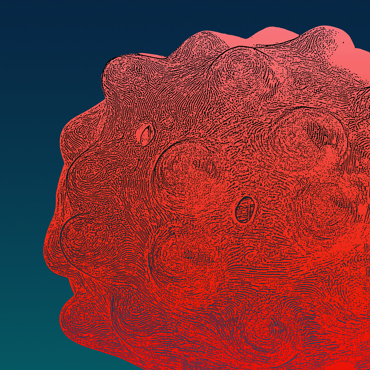 Cerebri