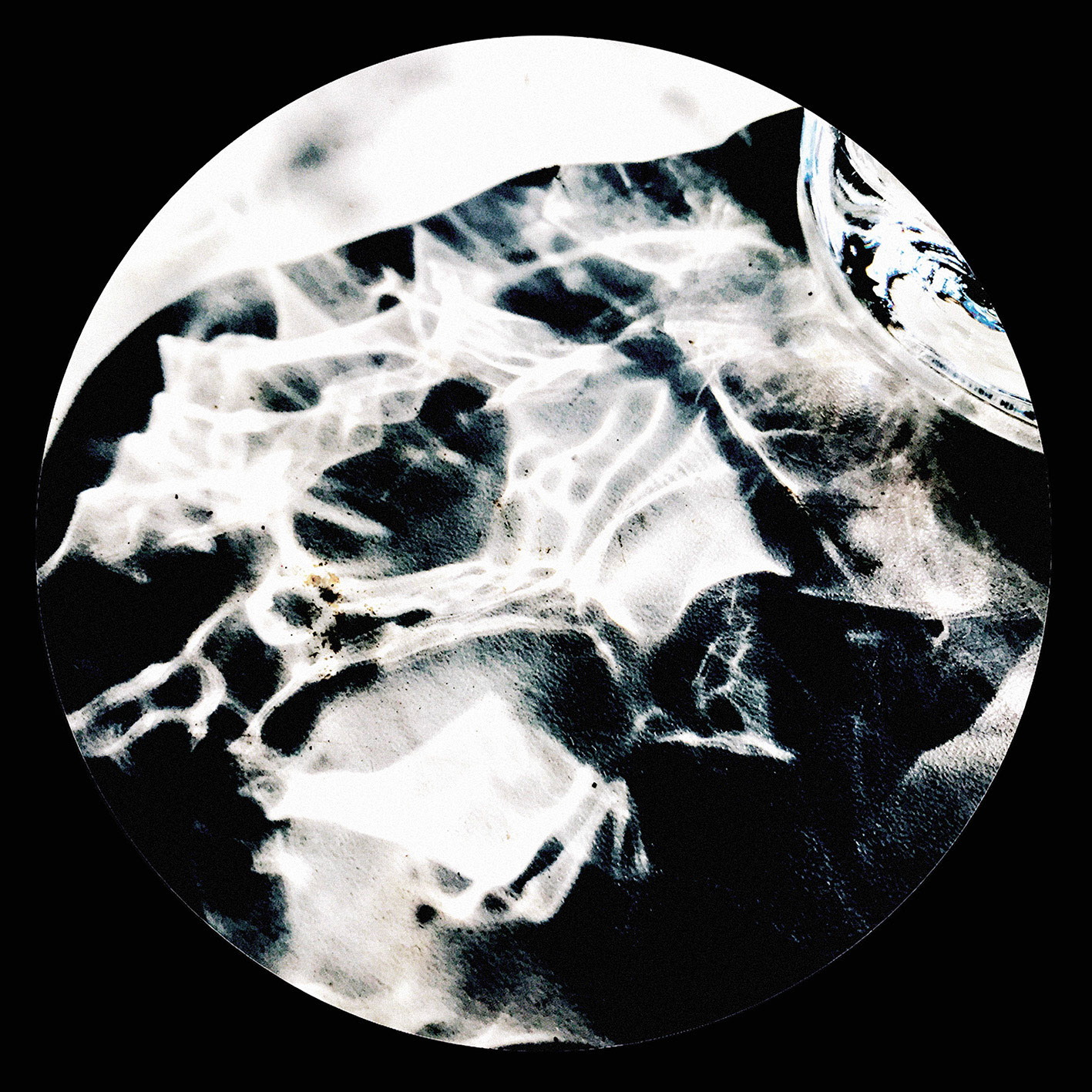 Mare Lunaris