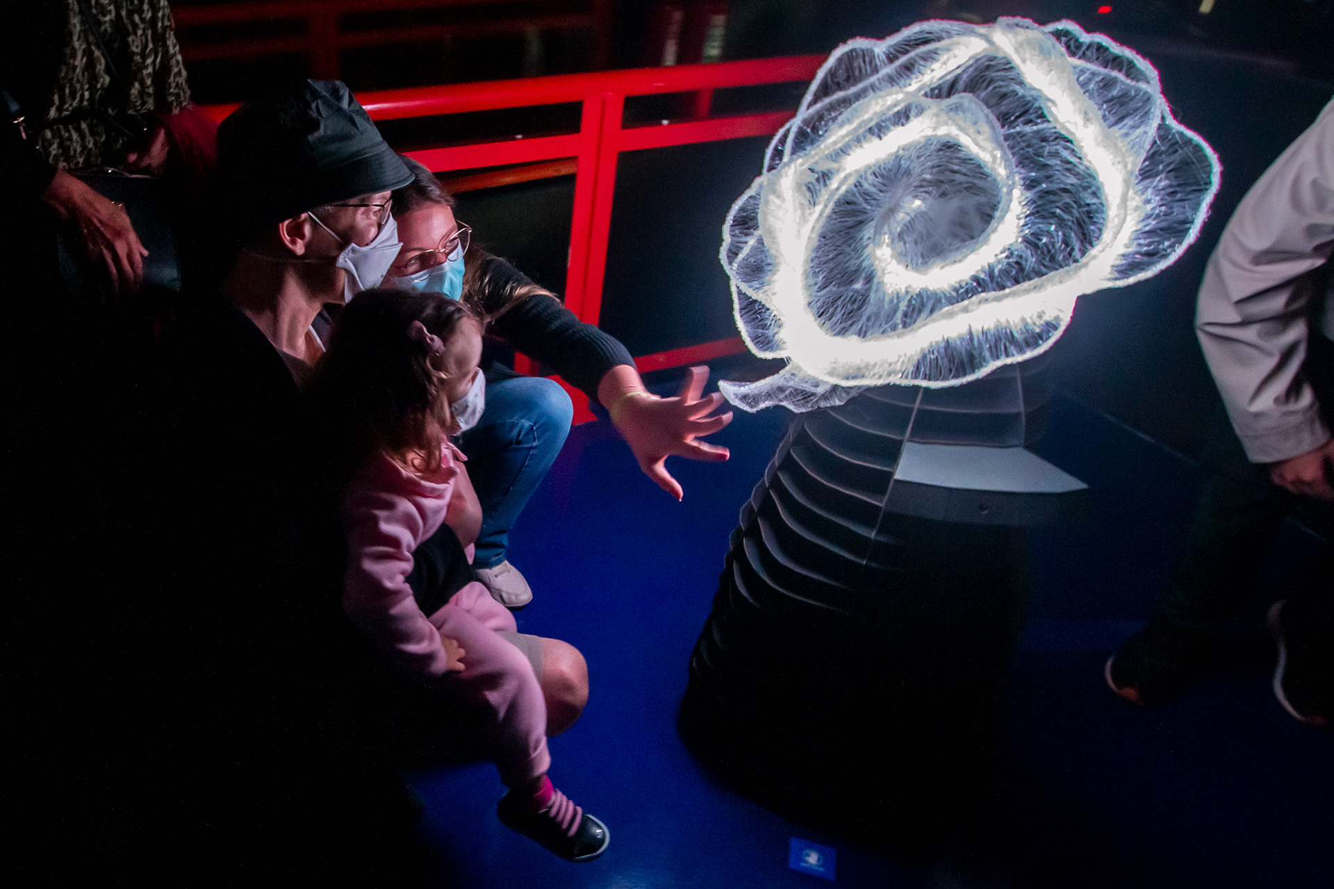 Foto: Rogério Albuquerque