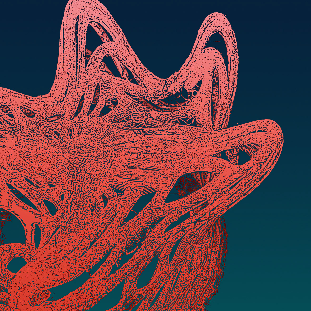 Tentacular