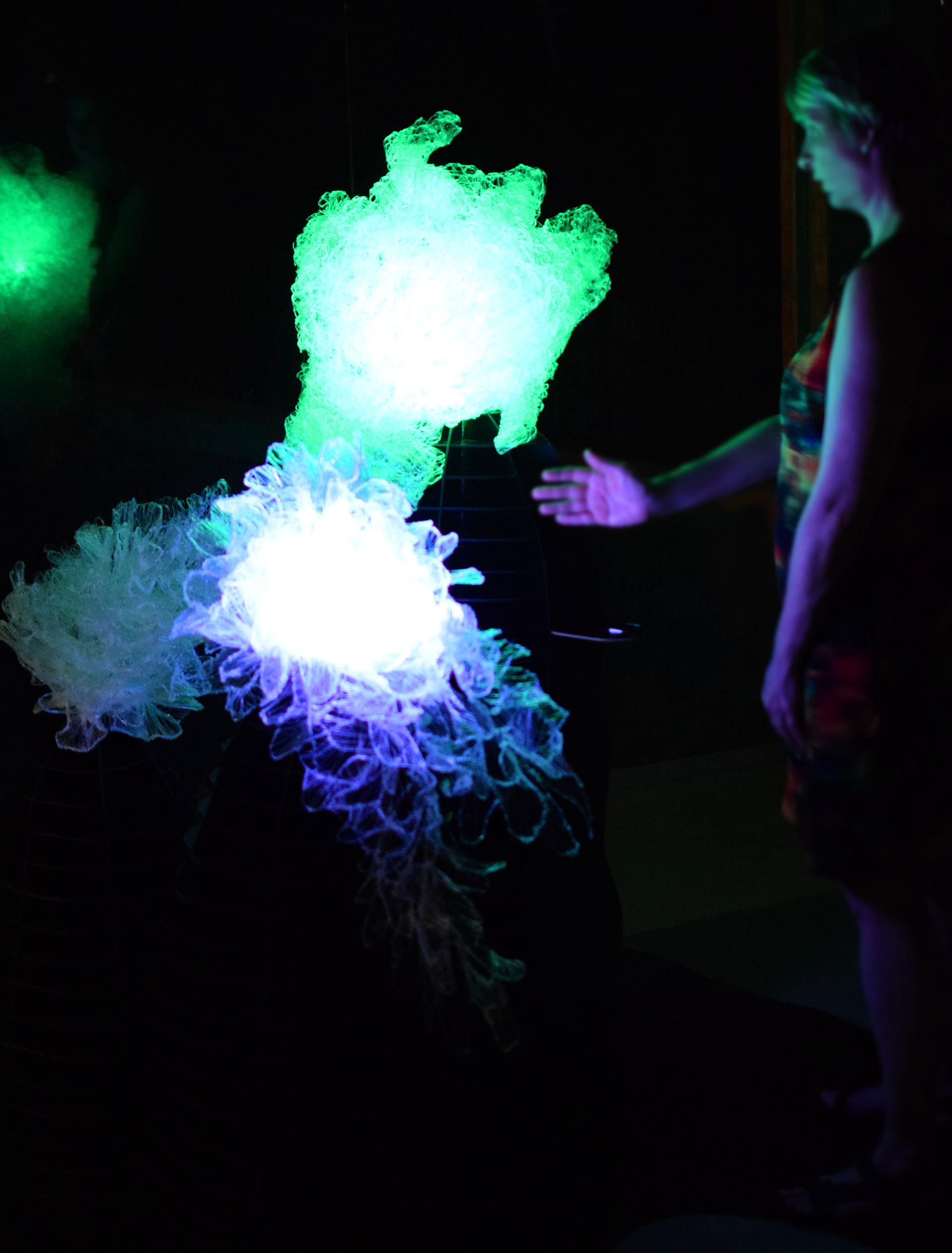 Creatures color transitions