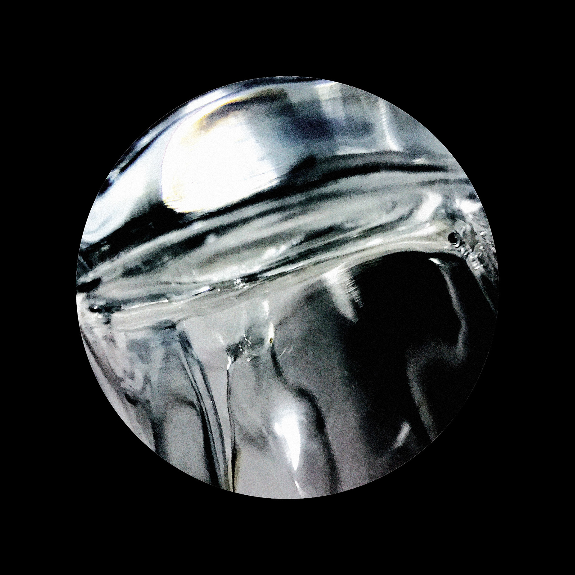 Jellyfish