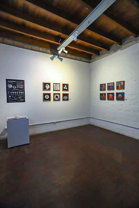 Sala 1