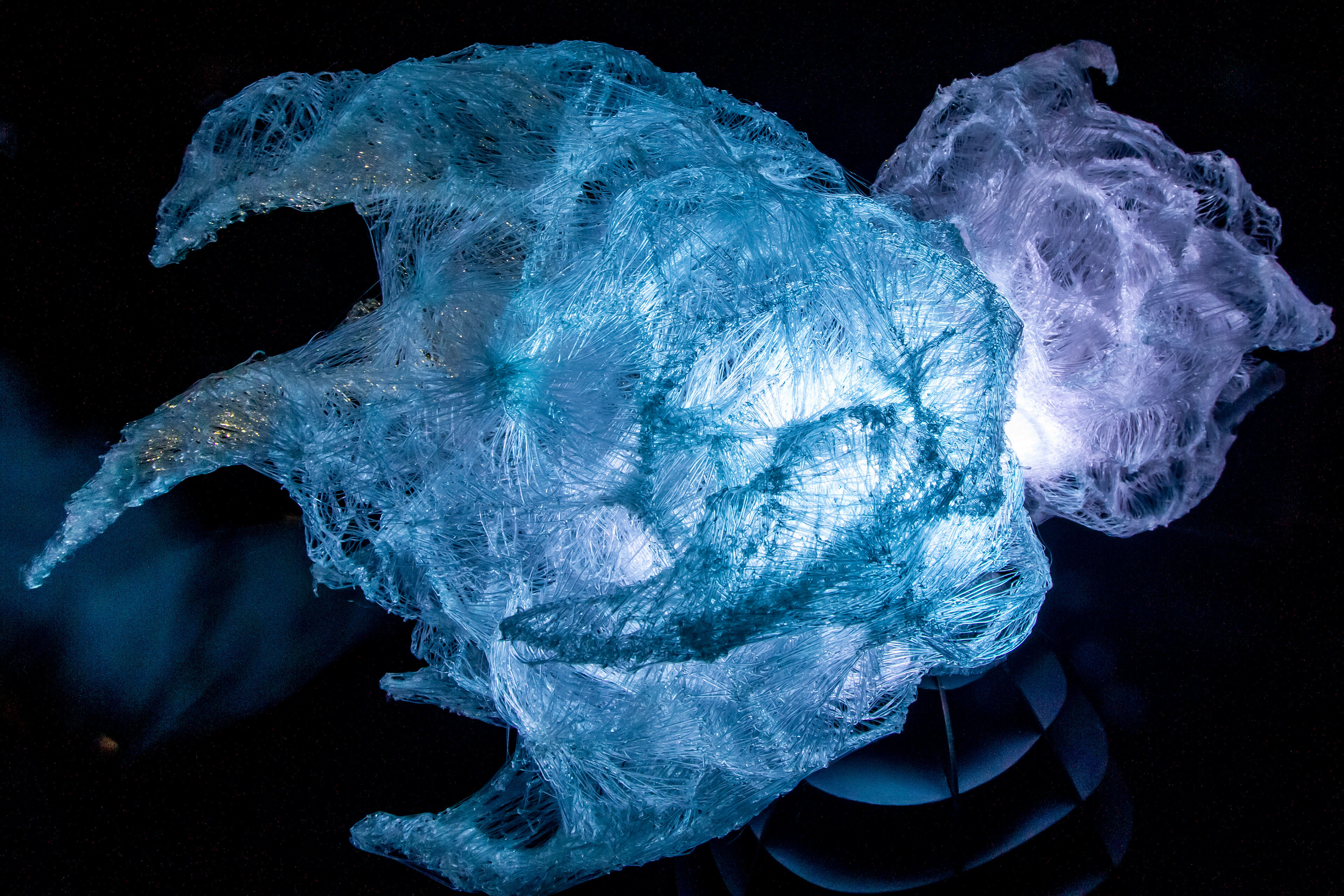 Foto: Rogério Albuquerque