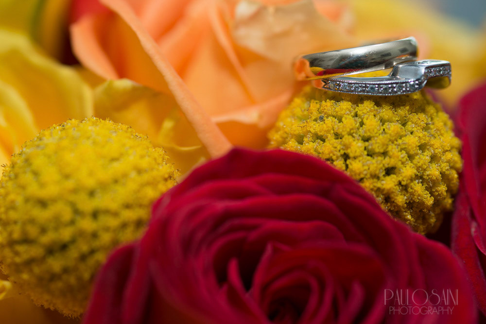 Paulo Saini Photography