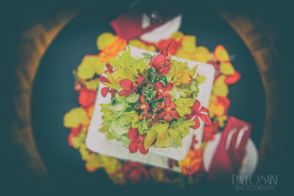 Paulo Saini Photography
