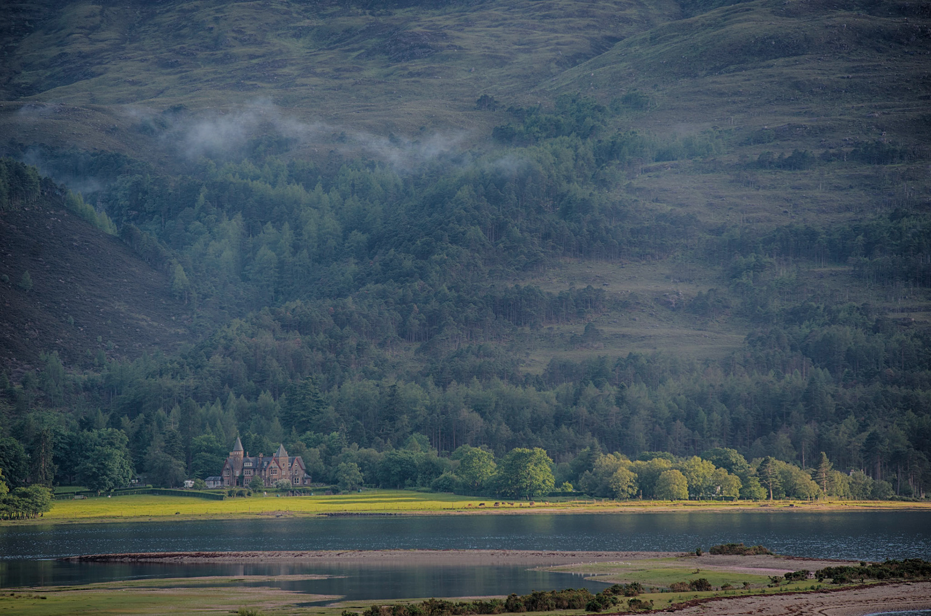 Paulo Saini Photogrpahy