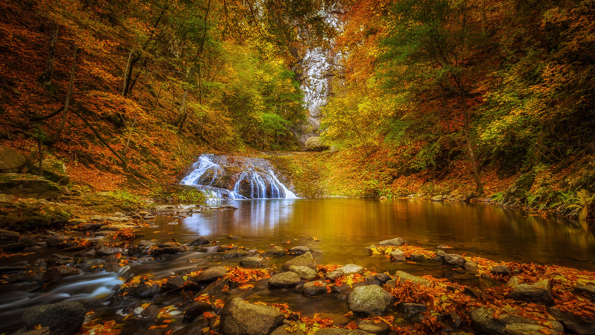Rodopi National Park