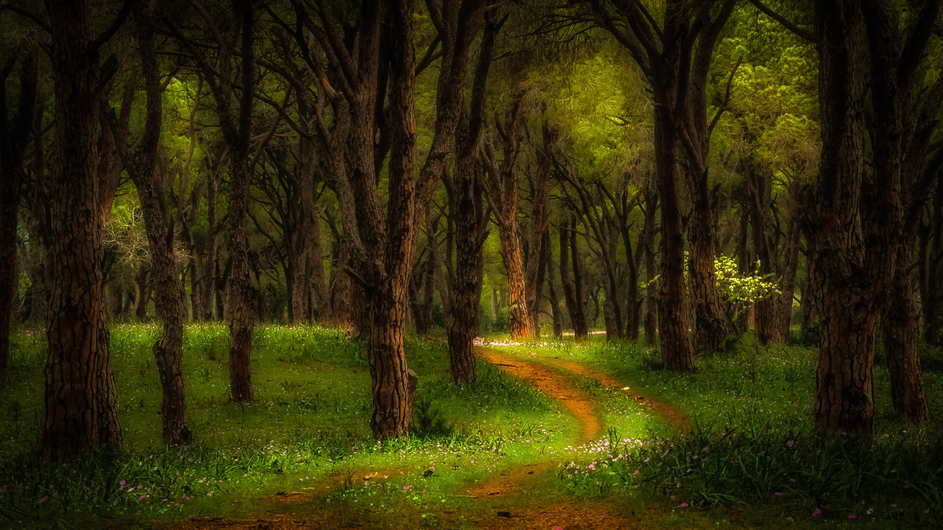 Strofylia National Park