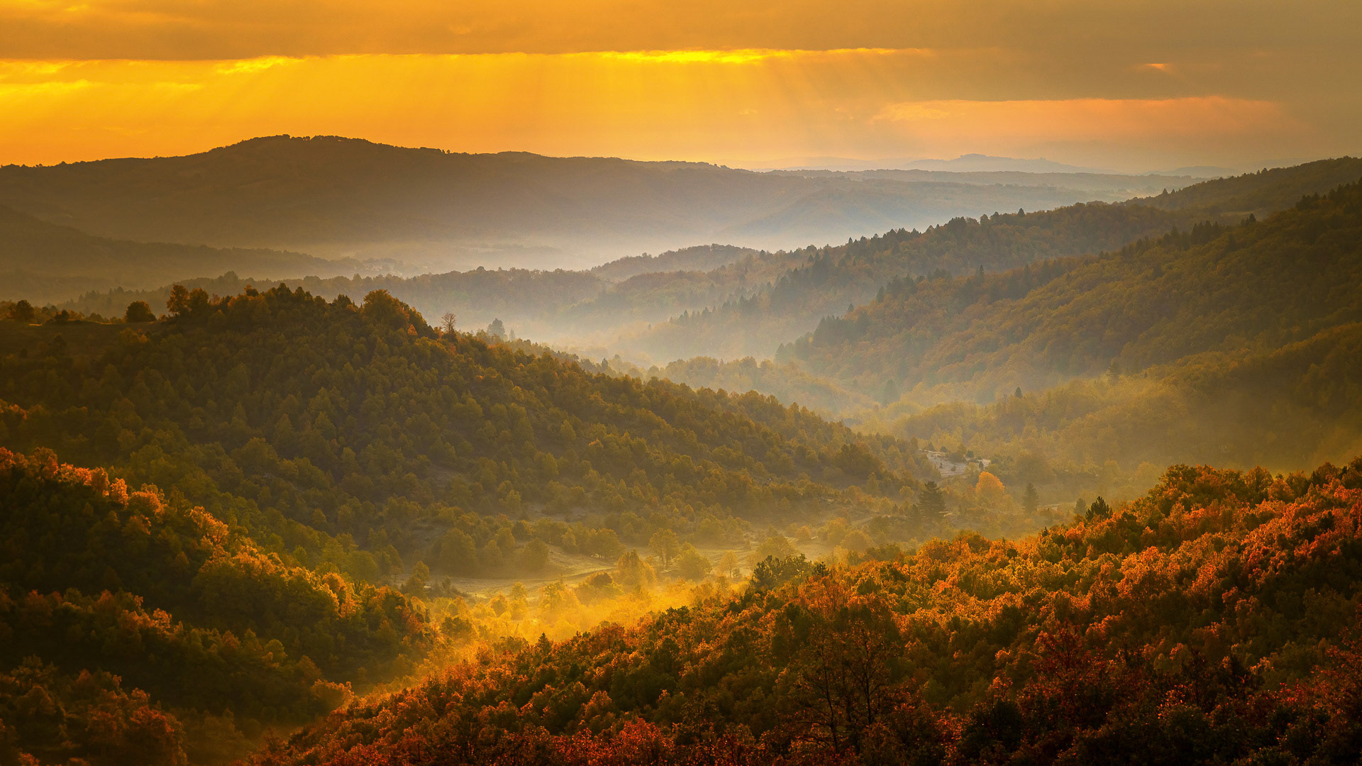 Early autumn morning