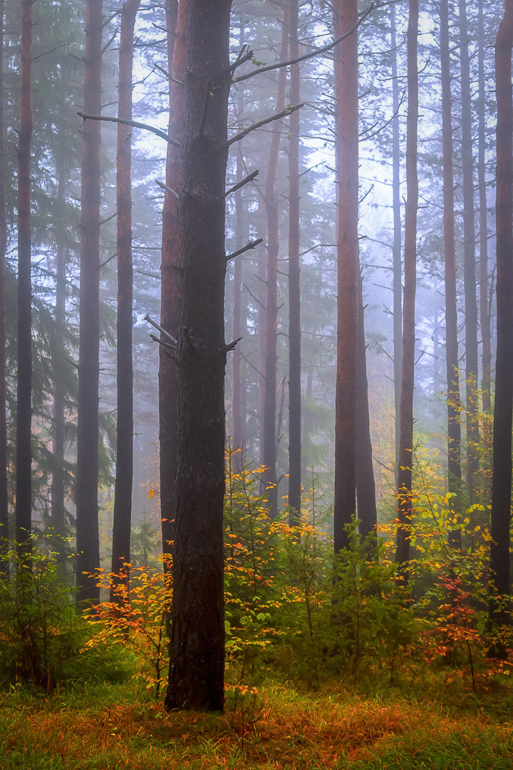 Rodopi National Park