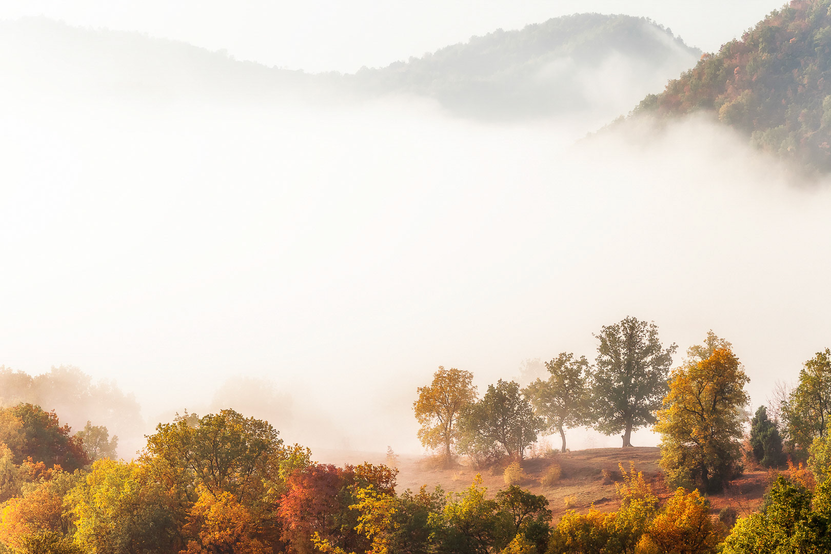 Rodopi National Park