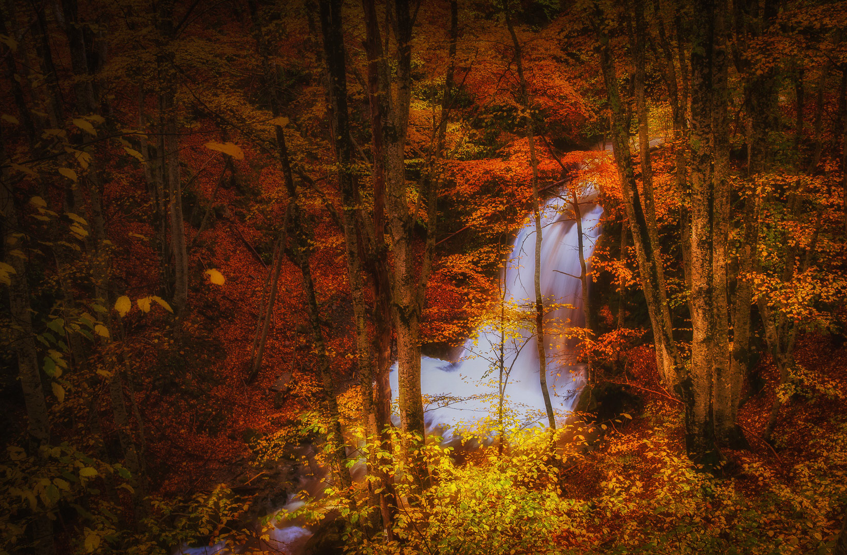 Rodopi National Park