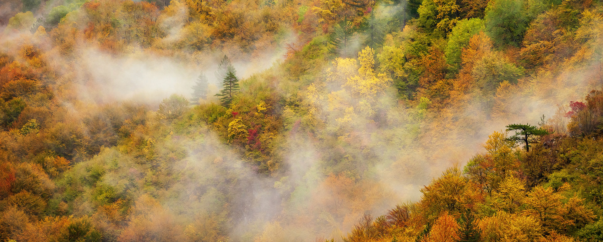 Rodopi National Park