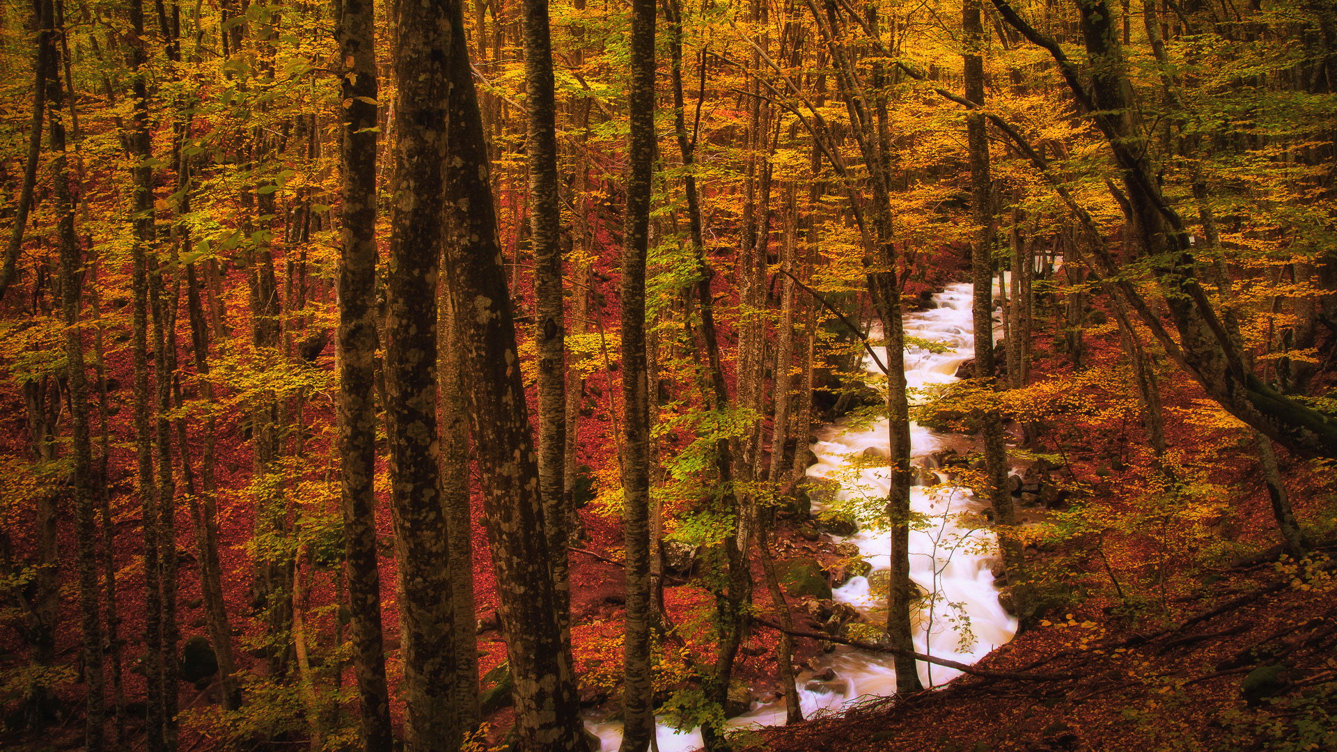 Rodopi National Park