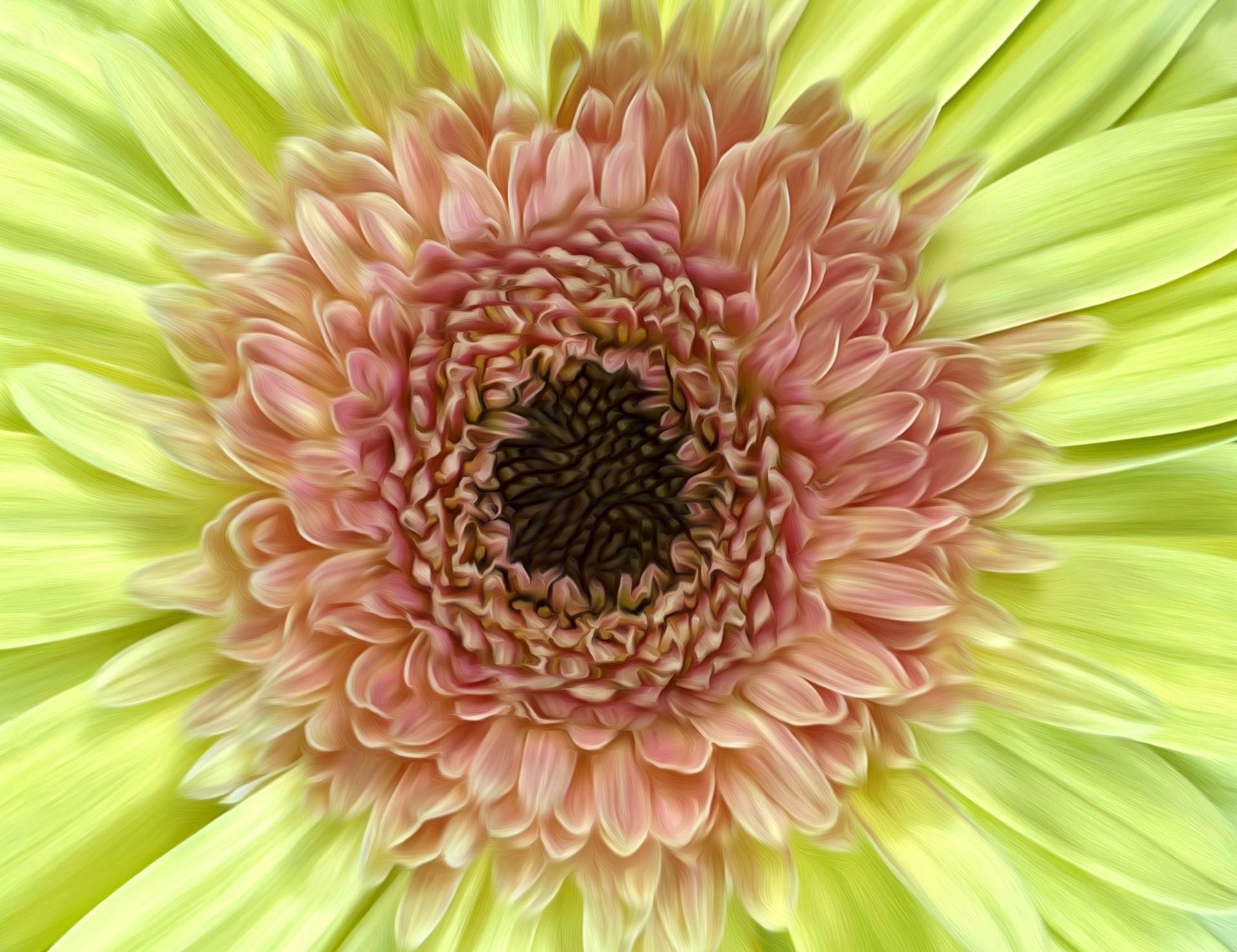 {"colorSpace":"kCGColorSpaceDisplayP3","cameraType":"Wide","macroEnabled":true,"qualityMode":2,"deviceTilt":0.4290749852779614,"customExposureMode":0,"extendedExposure":false,"whiteBalanceProgram":0,"cameraPosition":1,"focusMode":0}