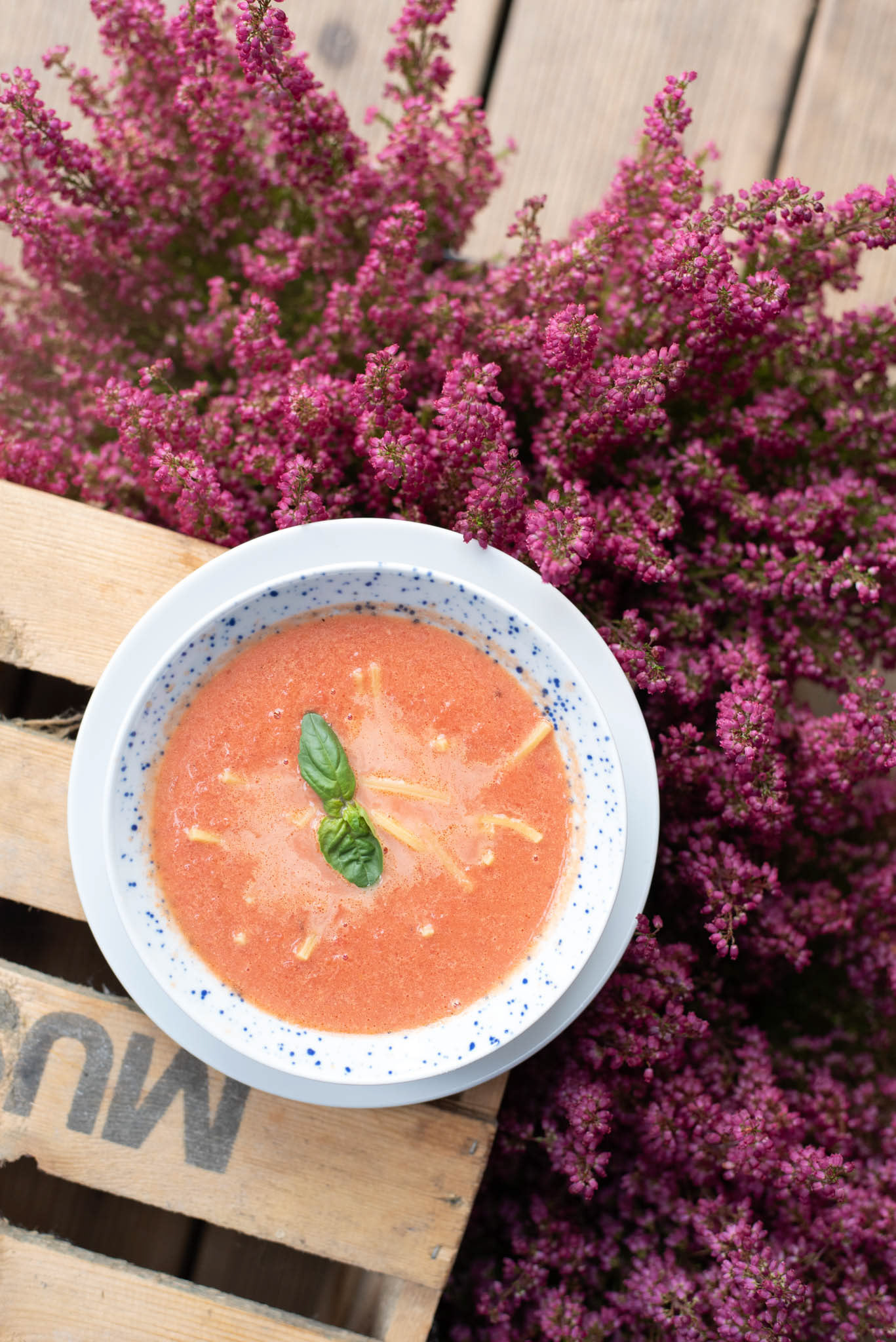 Fotografia kulinarna | lunch menu Kantyna Zabłocie