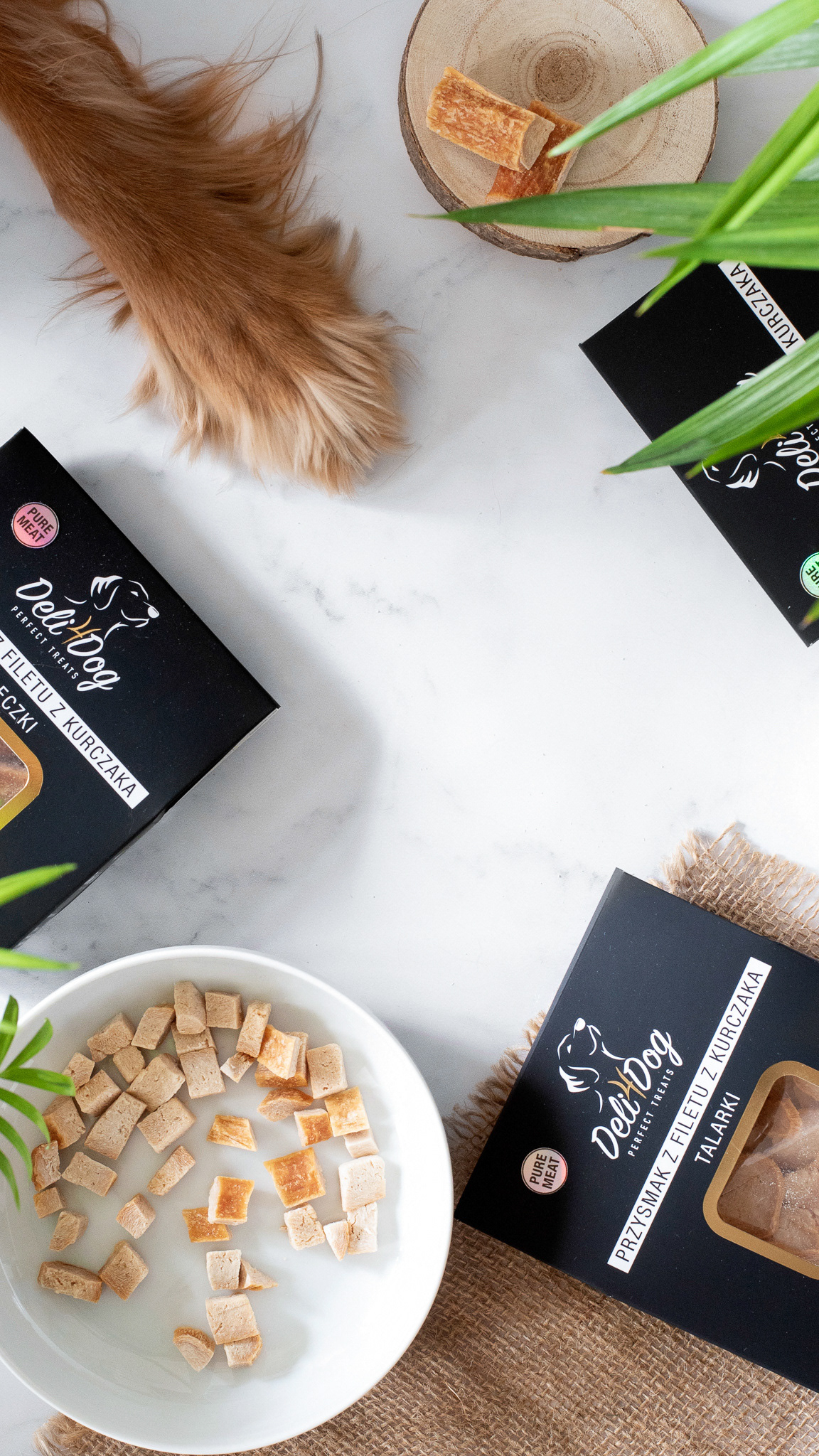 Zdjęcie reklamowe z udziałem psa | przysmaki dla psów Deli4dog