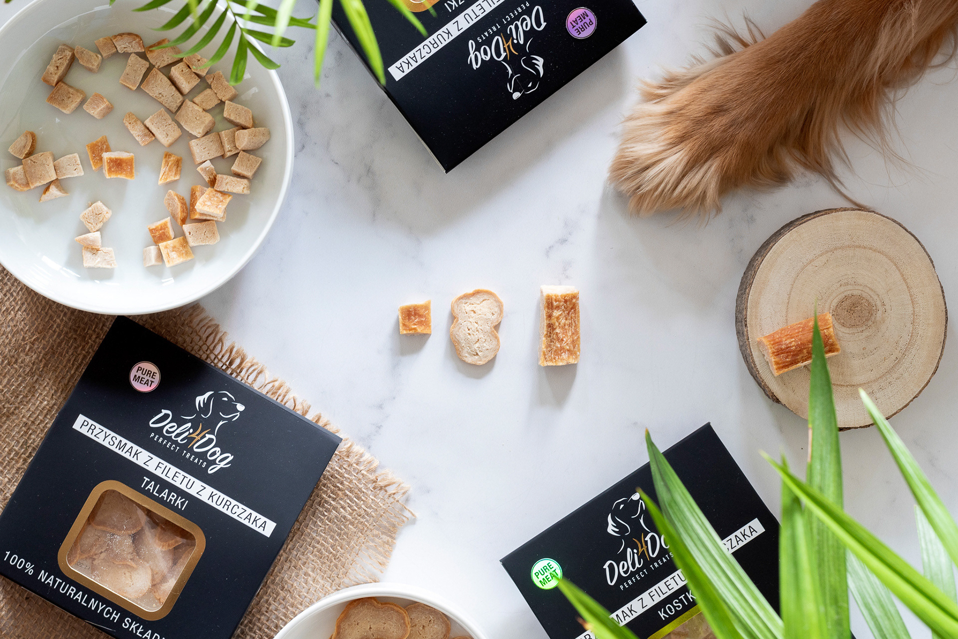 Zdjęcie reklamowe z udziałem psa | przysmaki dla psów Deli4dog