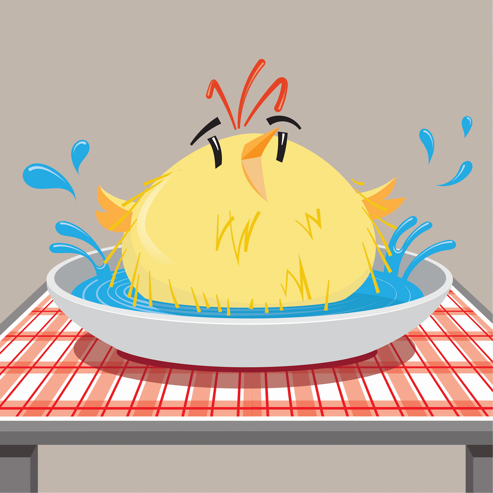 Chicken Soup