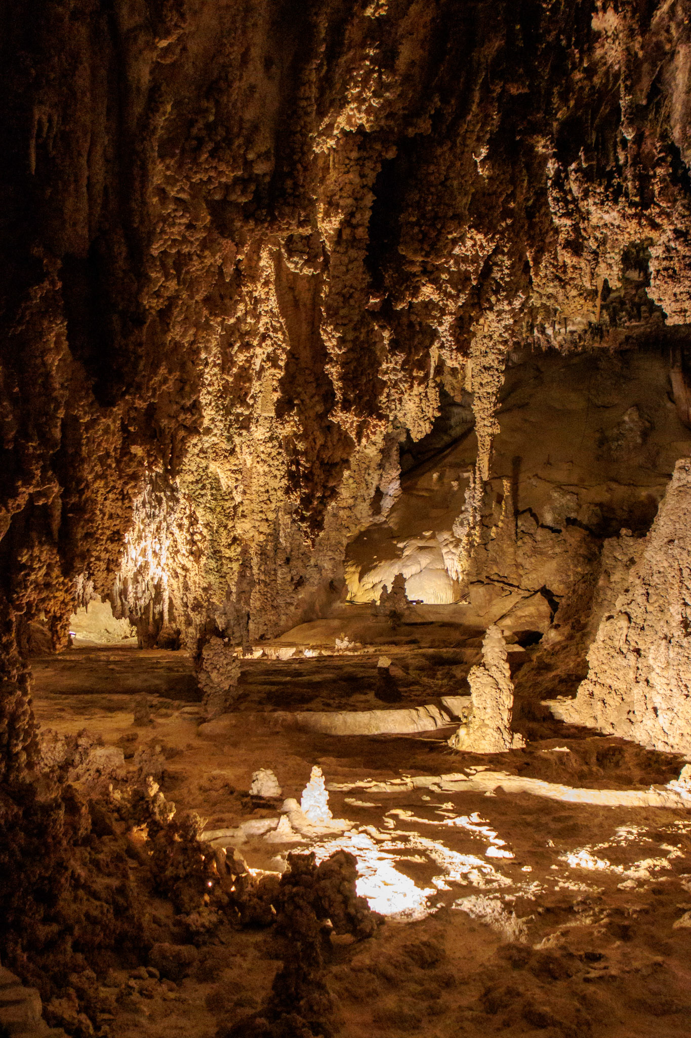 Carlsbad Caverns National Park