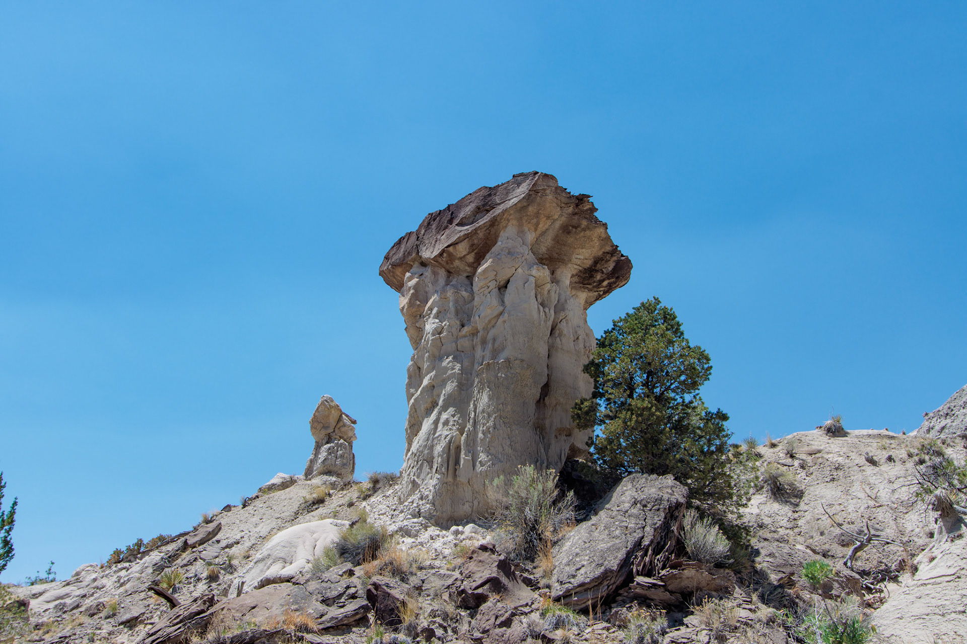 Lybrook Badlands, NM