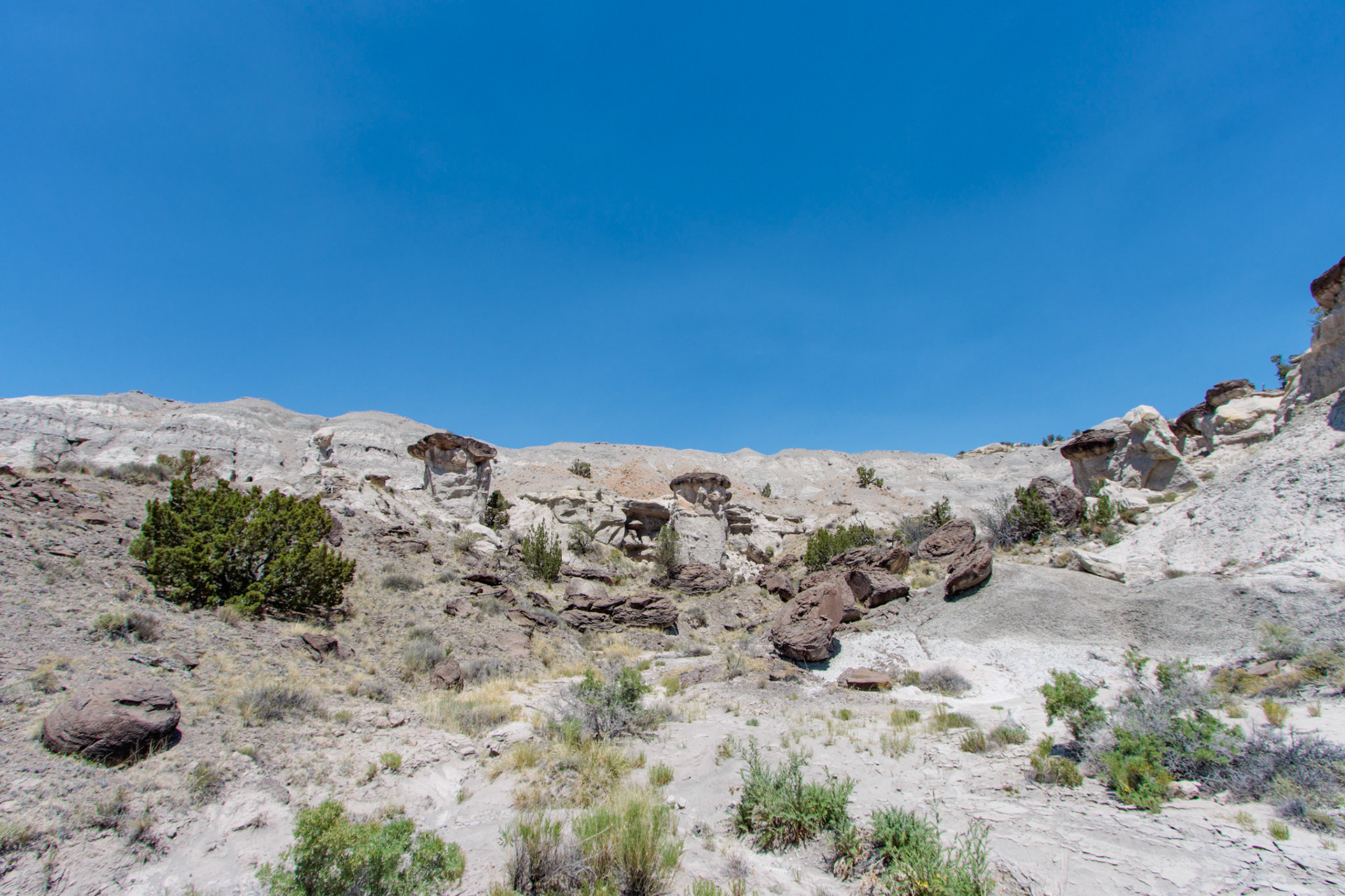 Lybrook Badlands, NM