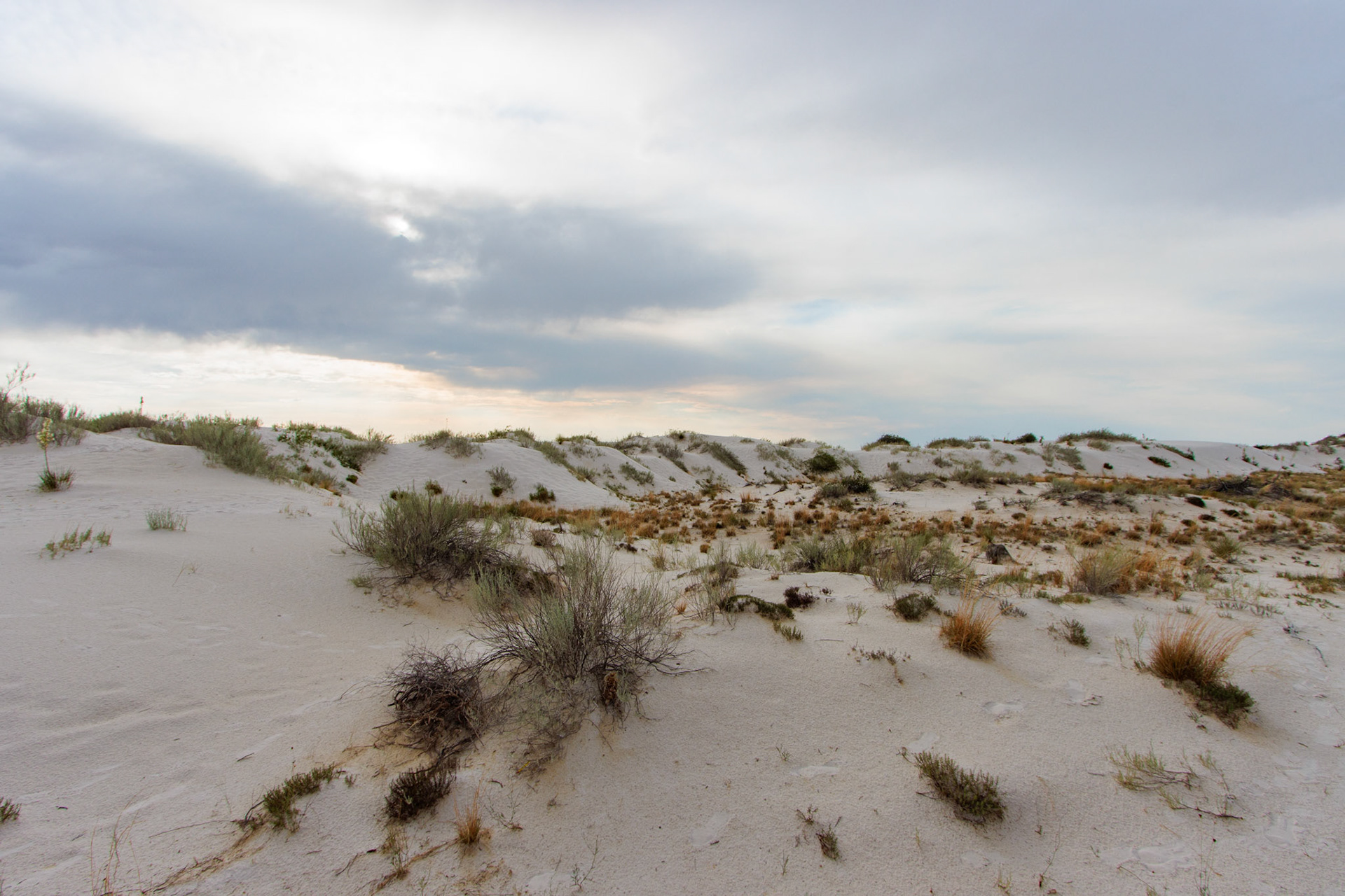 White Sands National Park, NM